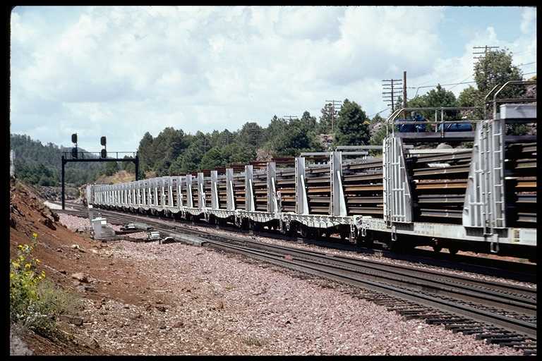 Train carrying rail.