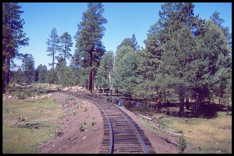 Photo of trackwork in Northern Arizona.