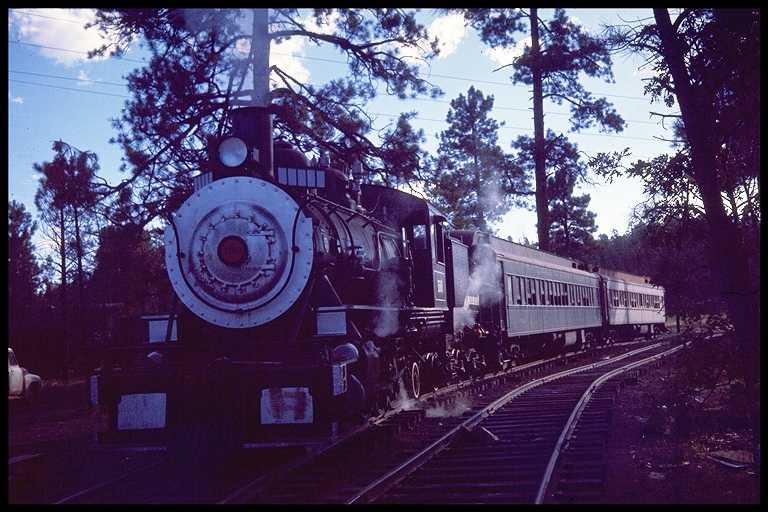 White Mountain Scenic RR engine #100 and 2 passenger cars.