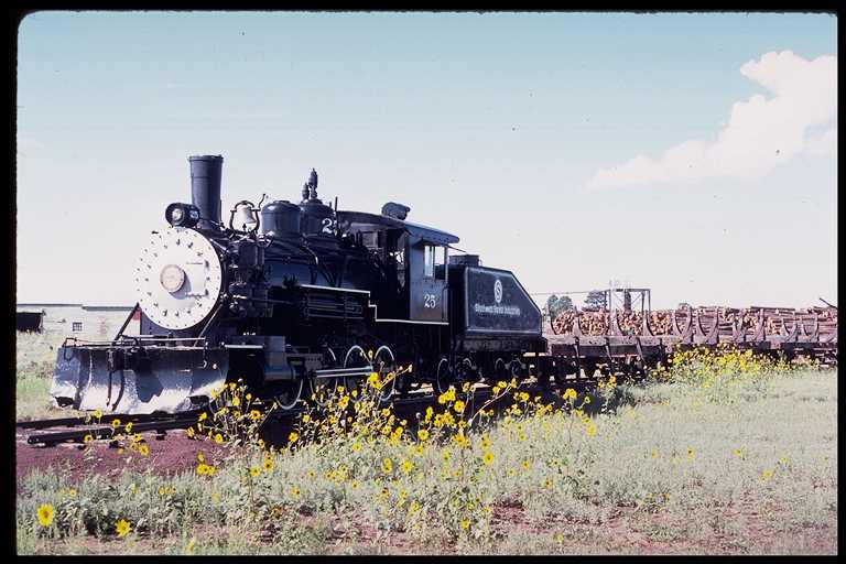 Steam Locomotive 2-8-0 on Display, Lumber Mill