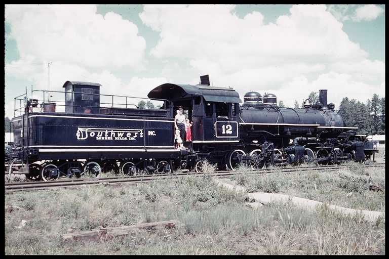 SWF #12, 2-6-6-2 Steam Engine